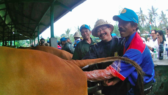 Mentan Canangkan Bali sebagai Provinsi Pertama Dukung Upsus Siwab